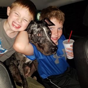 Meet your Posher, Heather